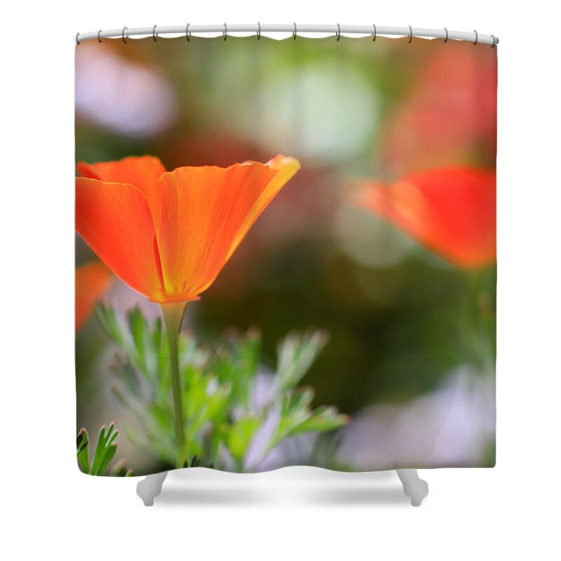  Shower Curtain featuring the photograph Poppy by Heidi Smith