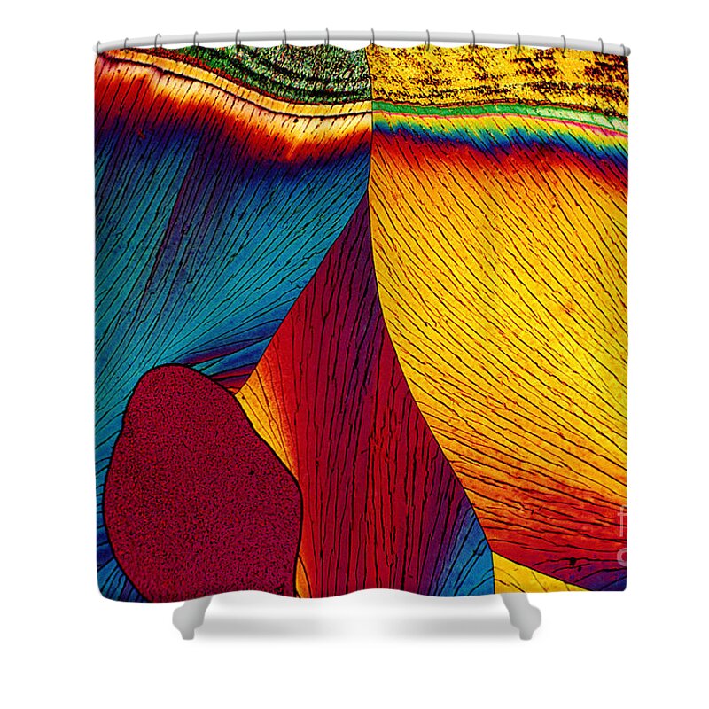 Polarized Light Micrograph Shower Curtain featuring the photograph Potassium Nitrate by Michael W. Davidson