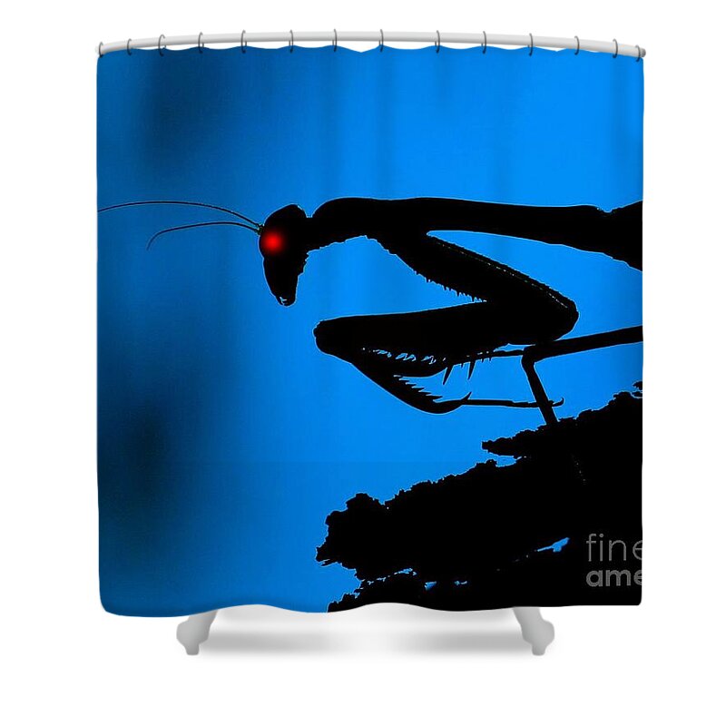 Discomforting Shower Curtain featuring the photograph Preying On Dreams by Patrick Witz