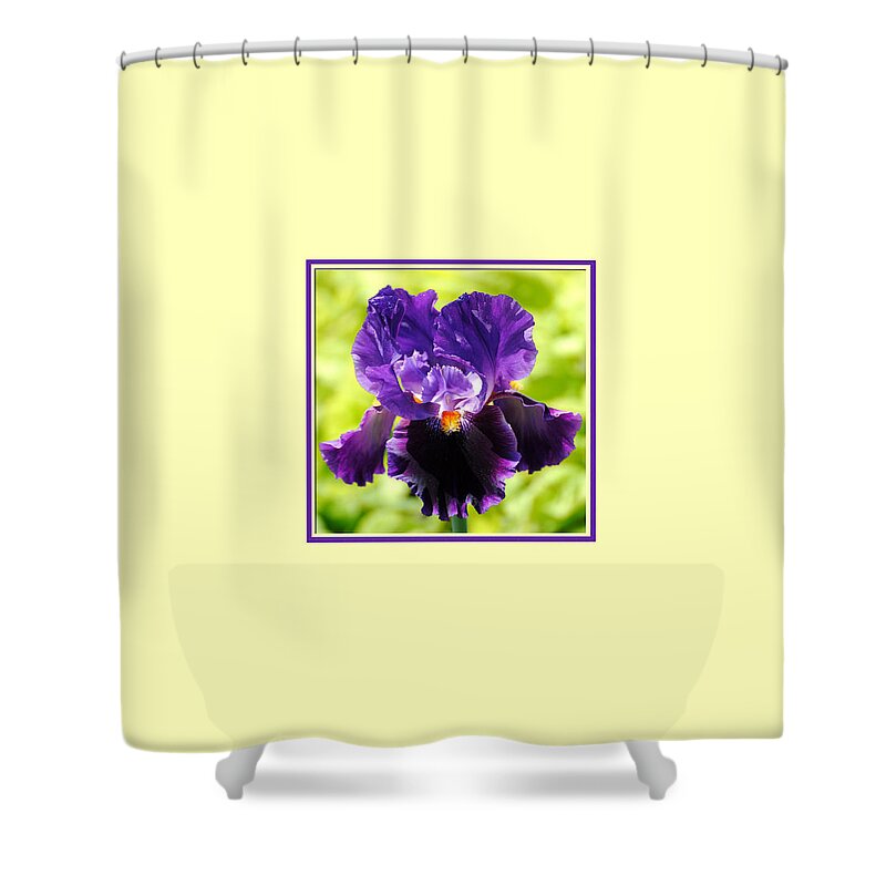 Flower Shower Curtain featuring the photograph Purple and Orange Iris Photo Square by Jai Johnson