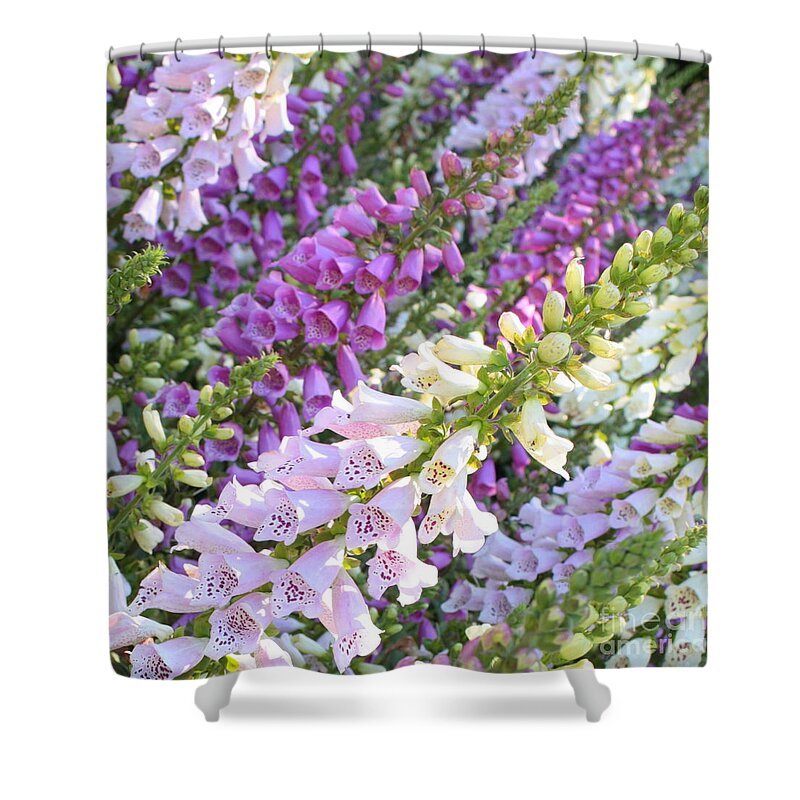 Purple Shower Curtain featuring the photograph Purple and White Foxglove Square by Carol Groenen