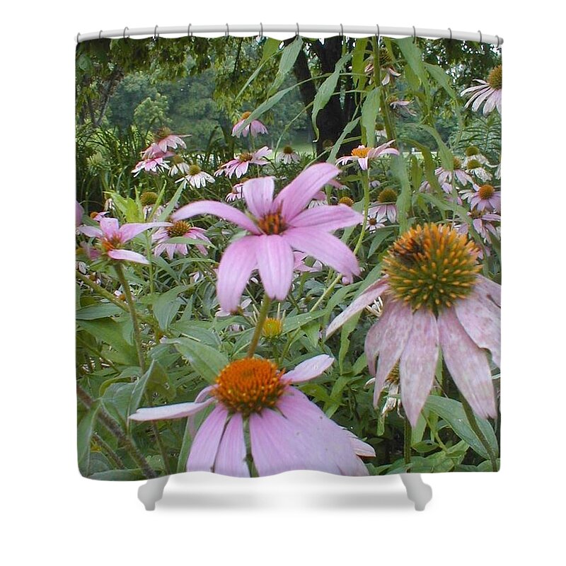 Flowers Shower Curtain featuring the photograph Purple Coneflowers by Vonda Lawson-Rosa