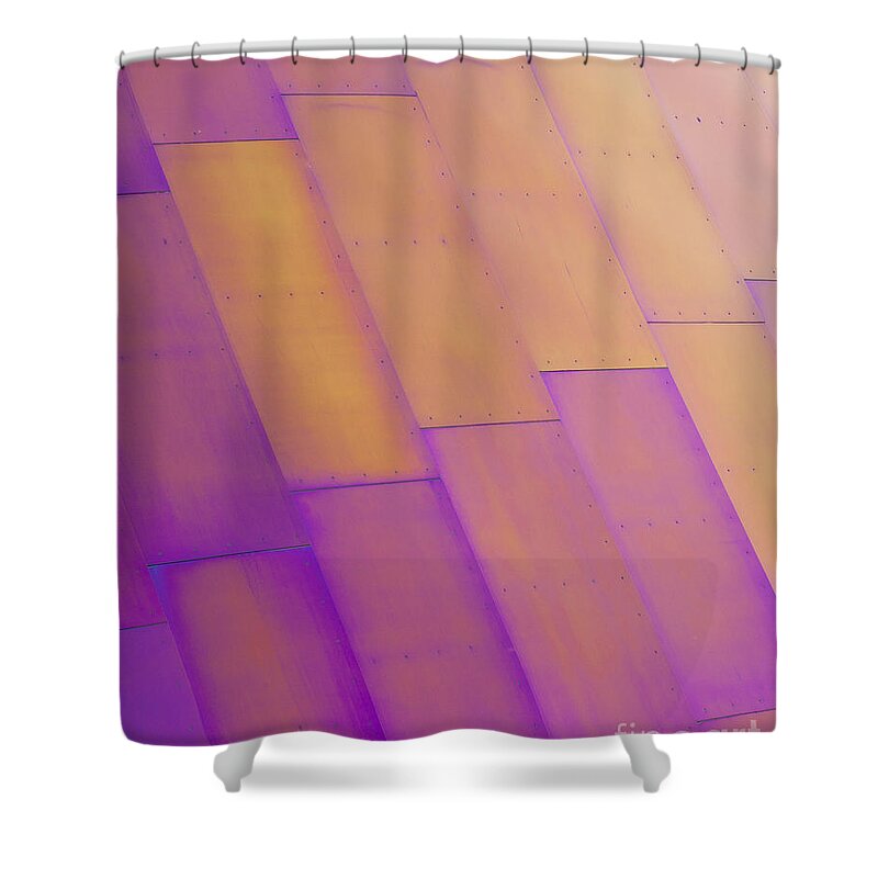 Purple Shower Curtain featuring the photograph Purple Orange I by Chris Dutton