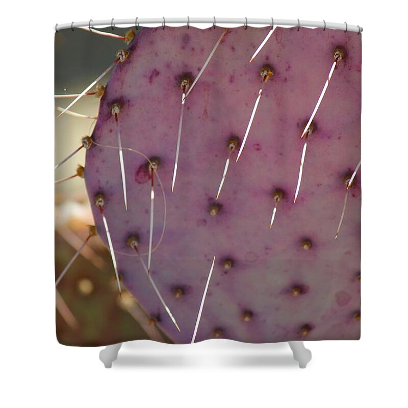 Prickly Pear Shower Curtain featuring the photograph Purple Prickly Pear by Leigh Meredith