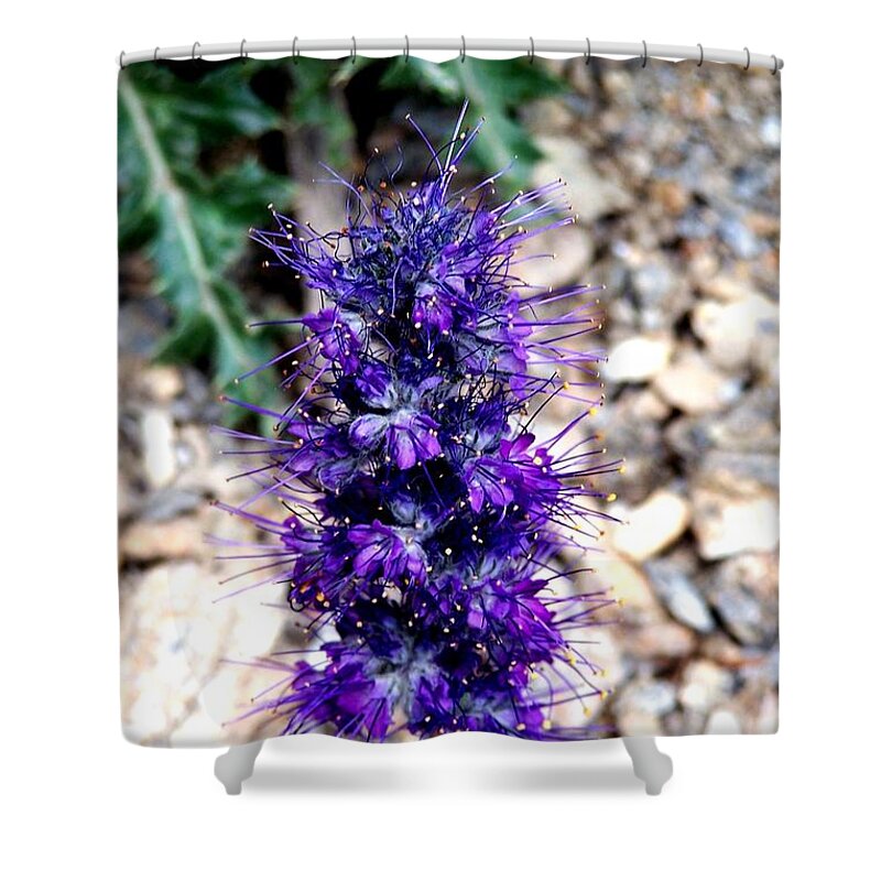 Wildflowers Shower Curtain featuring the photograph Purple Reign by Dorrene BrownButterfield