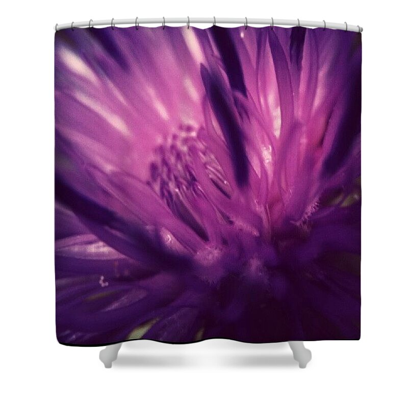 Flower Shower Curtain featuring the photograph Purple Thistle Flower by Vicki Field