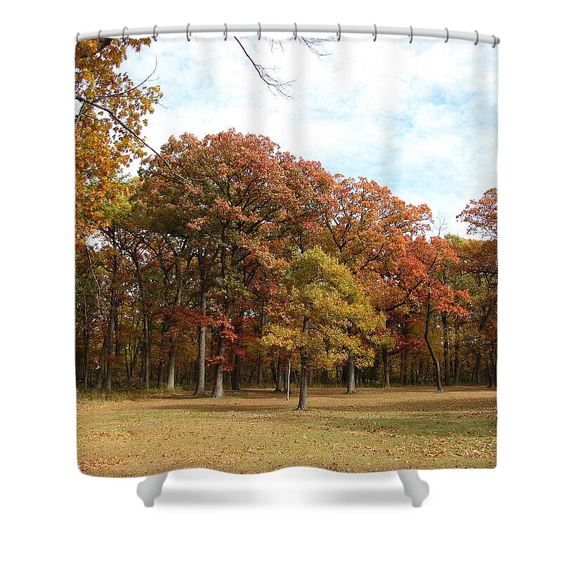 Cedric Hampton Shower Curtain featuring the photograph Quiet Forest 2 by Cedric Hampton