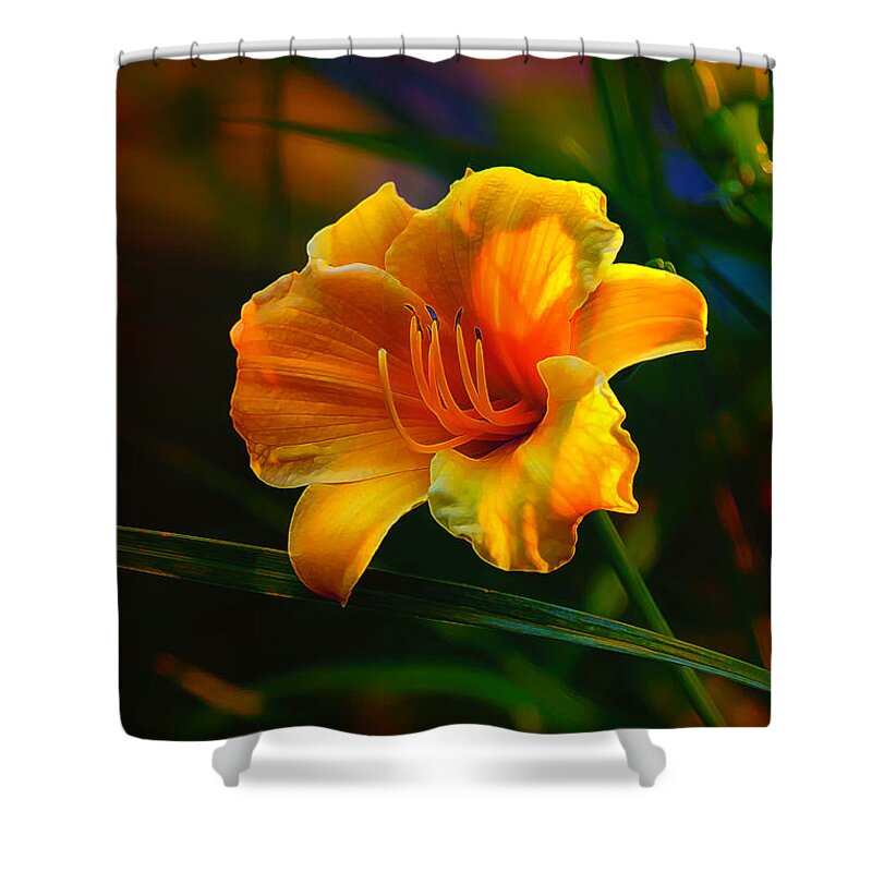 Daylily Shower Curtain featuring the photograph Rainbow Daylily Heat by Bill and Linda Tiepelman
