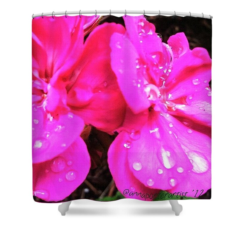 Flowersofinstagram Shower Curtain featuring the photograph Raindrops On Azalea Blossoms by Anna Porter