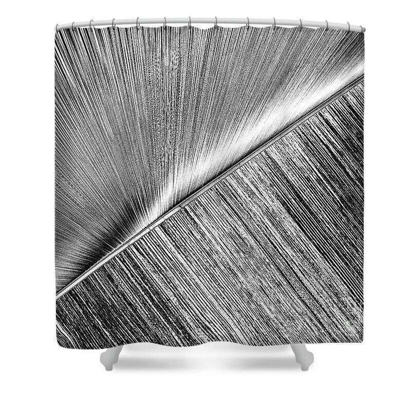 Abstract Shower Curtain featuring the photograph Diagonal. Black and White by Ausra Huntington nee Paulauskaite