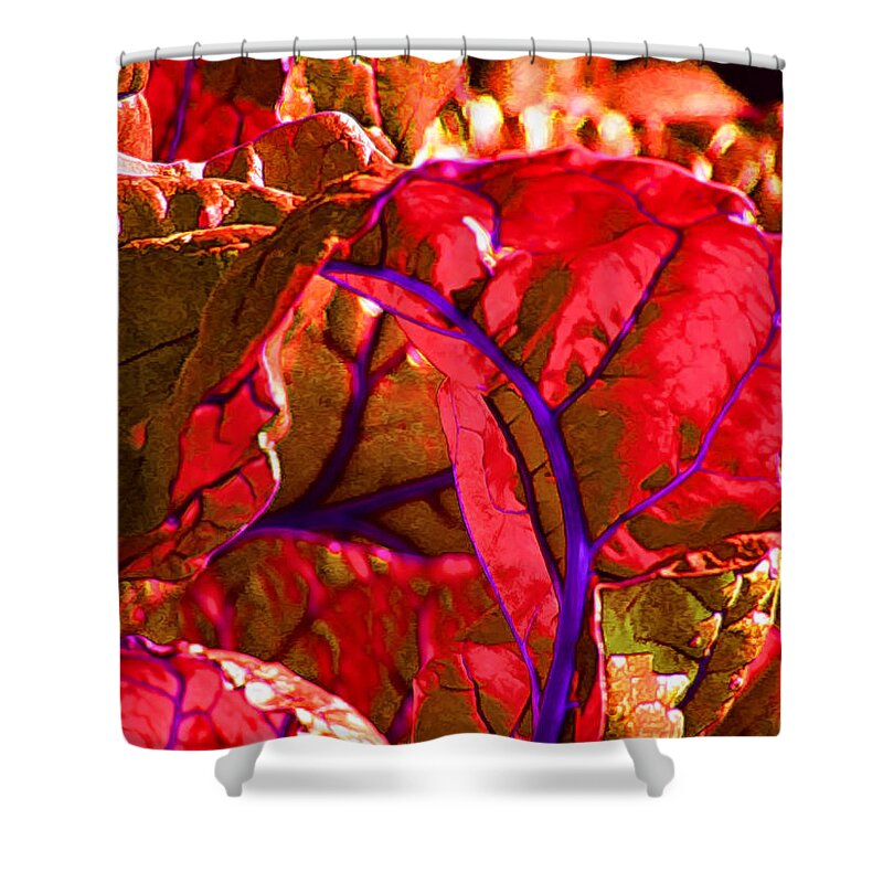 Chard Shower Curtain featuring the photograph Red Chard by Rory Siegel