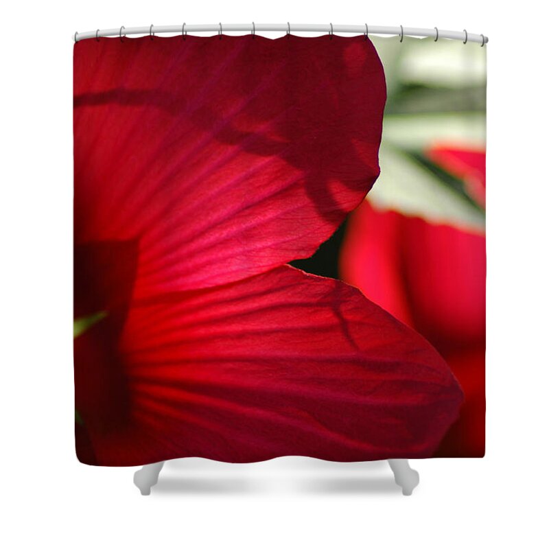 Hibiscus Shower Curtain featuring the photograph Red Hibiscus by David Weeks
