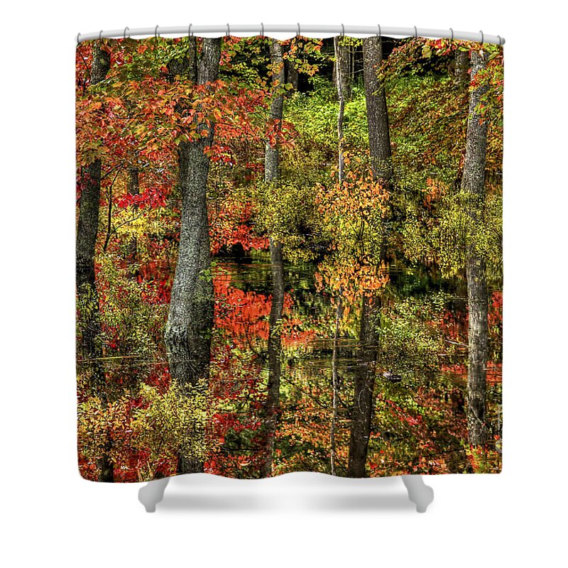 Fall Foliage Shower Curtain featuring the photograph Red Refection of You by Brenda Giasson