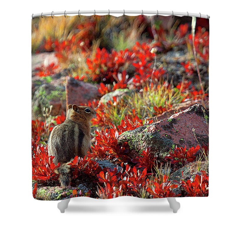 Autumn Colors Shower Curtain featuring the photograph Red Rover by Jim Garrison