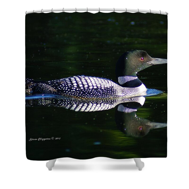 Loon Shower Curtain featuring the photograph Reflections by Steven Clipperton