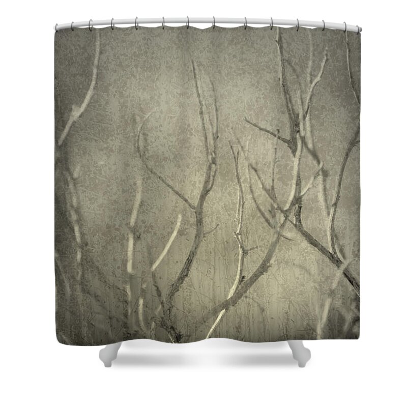 Branches Shower Curtain featuring the photograph Reticent by Mark Ross
