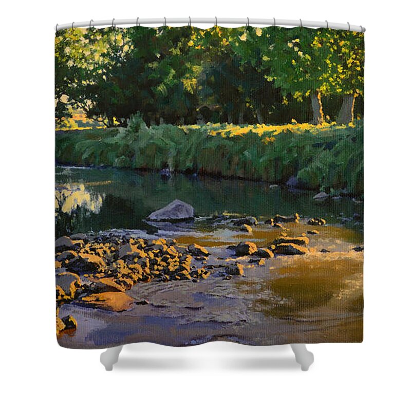 Landscape Shower Curtain featuring the painting Riffles - First Light by Bruce Morrison