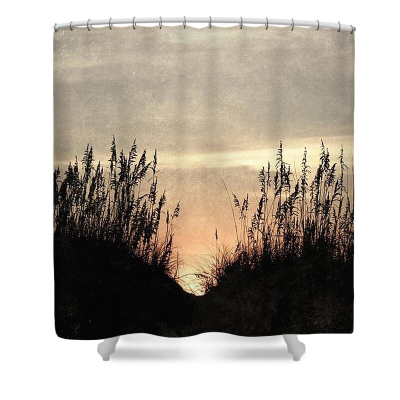 Dunes Shower Curtain featuring the photograph Rise Between The Dunes by Kim Galluzzo Wozniak