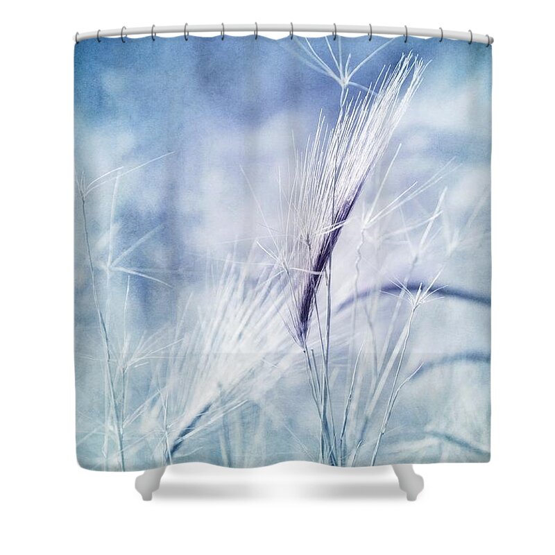 Plant Shower Curtain featuring the photograph Roadside Blues by Priska Wettstein