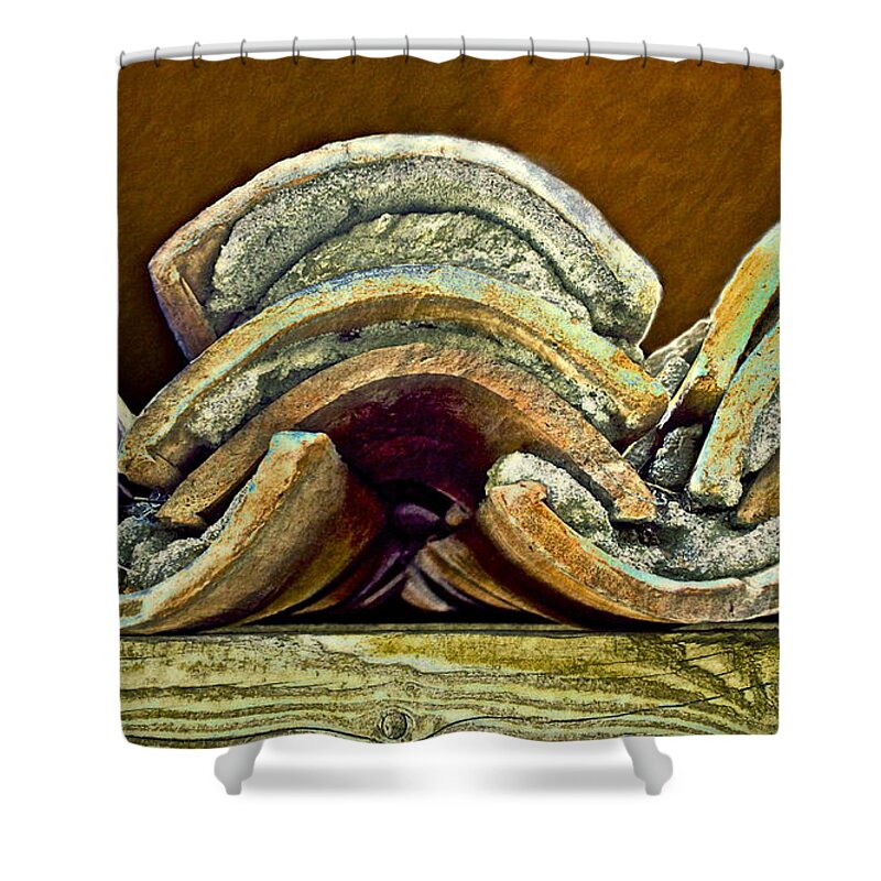 Roof Shower Curtain featuring the photograph Roof Tiles by Gwyn Newcombe