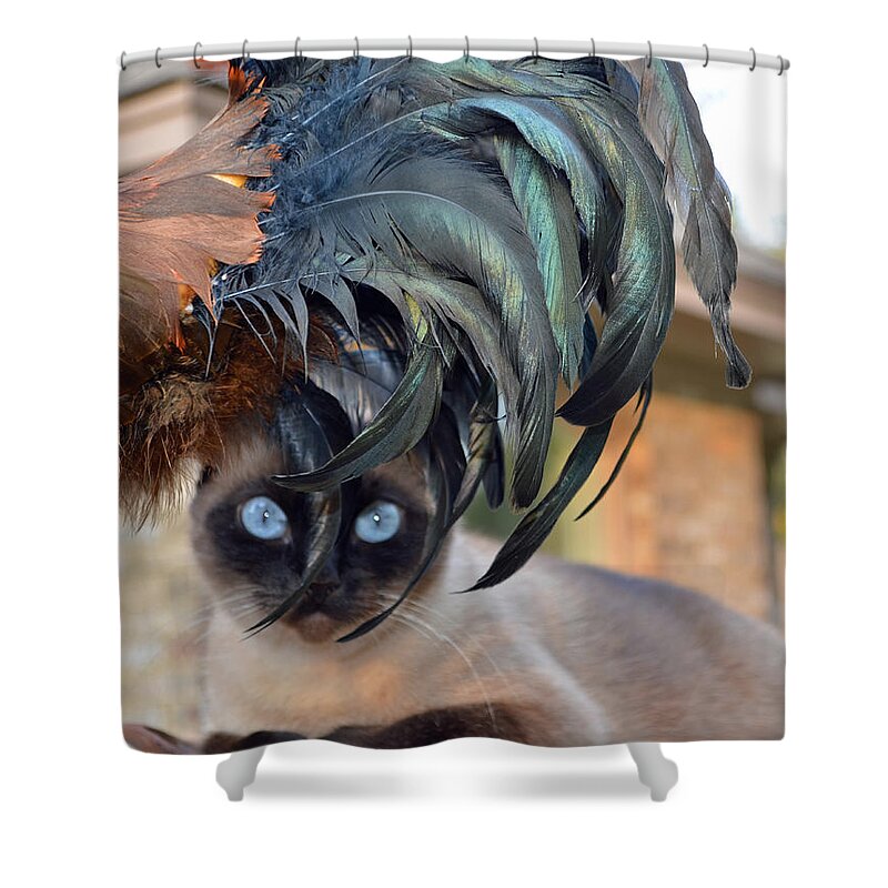 Cat Rooster Blue Eyes Feathers Silky Round Eye Brown Tan Red Shower Curtain featuring the photograph Rooster what rooster by Patricia Caldwell