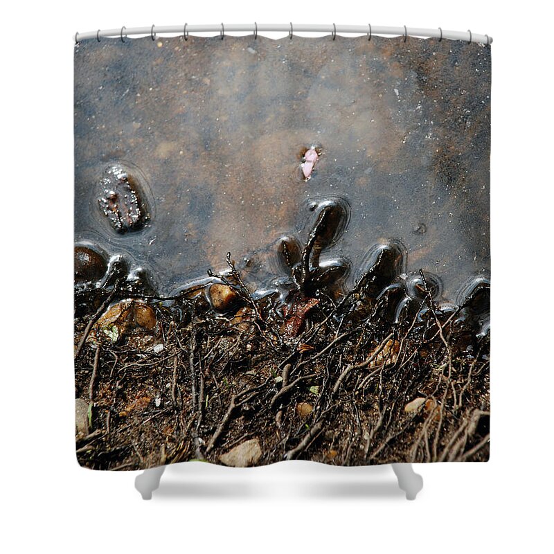 Tree Roots Shower Curtain featuring the photograph Roots in Water by Kay Lovingood