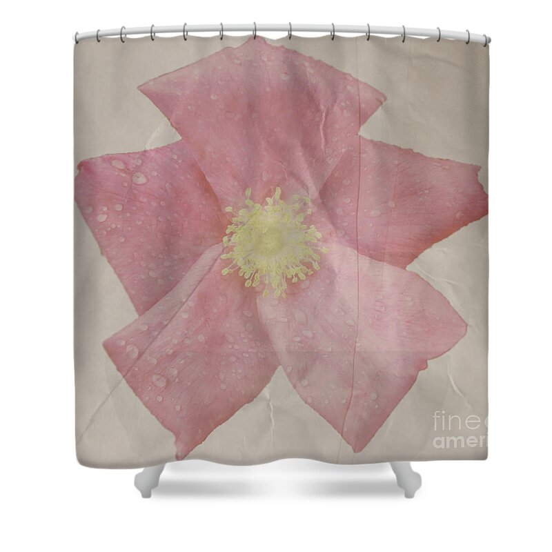 Rose Shower Curtain featuring the photograph Rosey by Heather Applegate