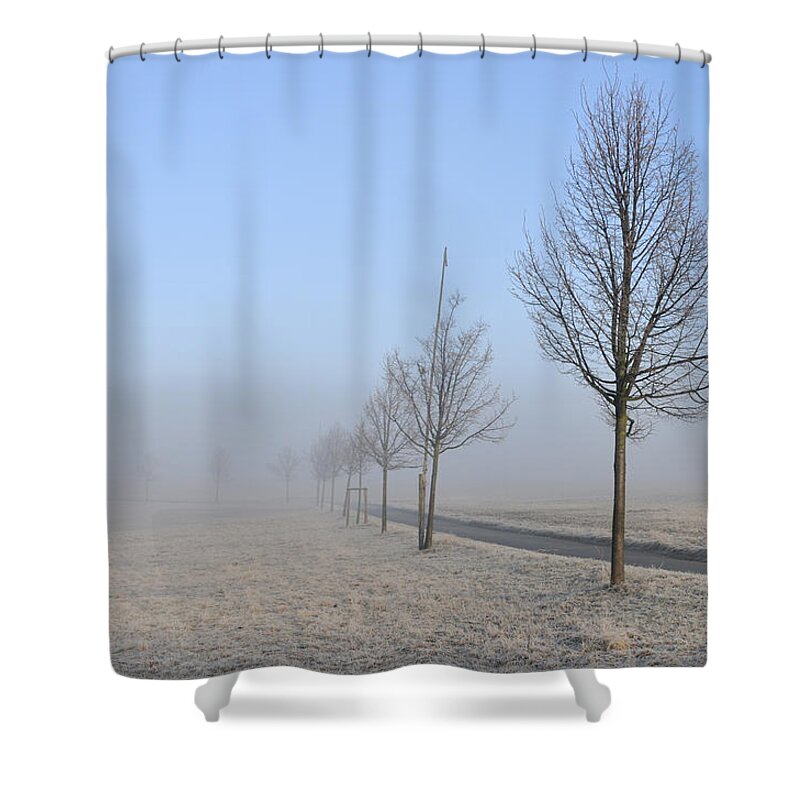 Trees Shower Curtain featuring the photograph Row of trees in the morning by Matthias Hauser