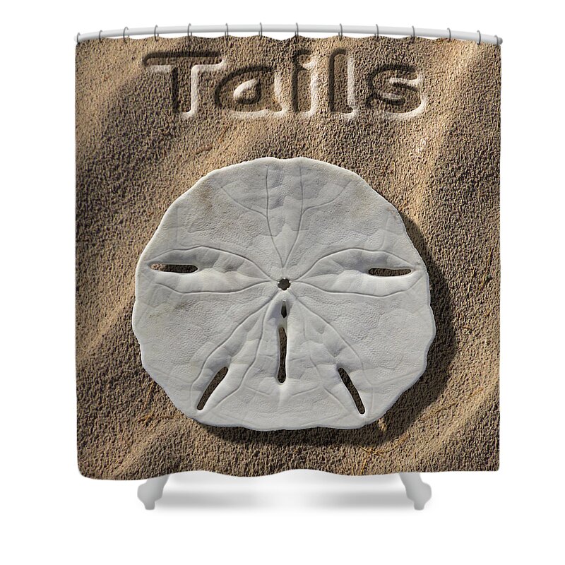 Sand Dollar Shower Curtain featuring the photograph Sand Dollar Tails by Mike McGlothlen