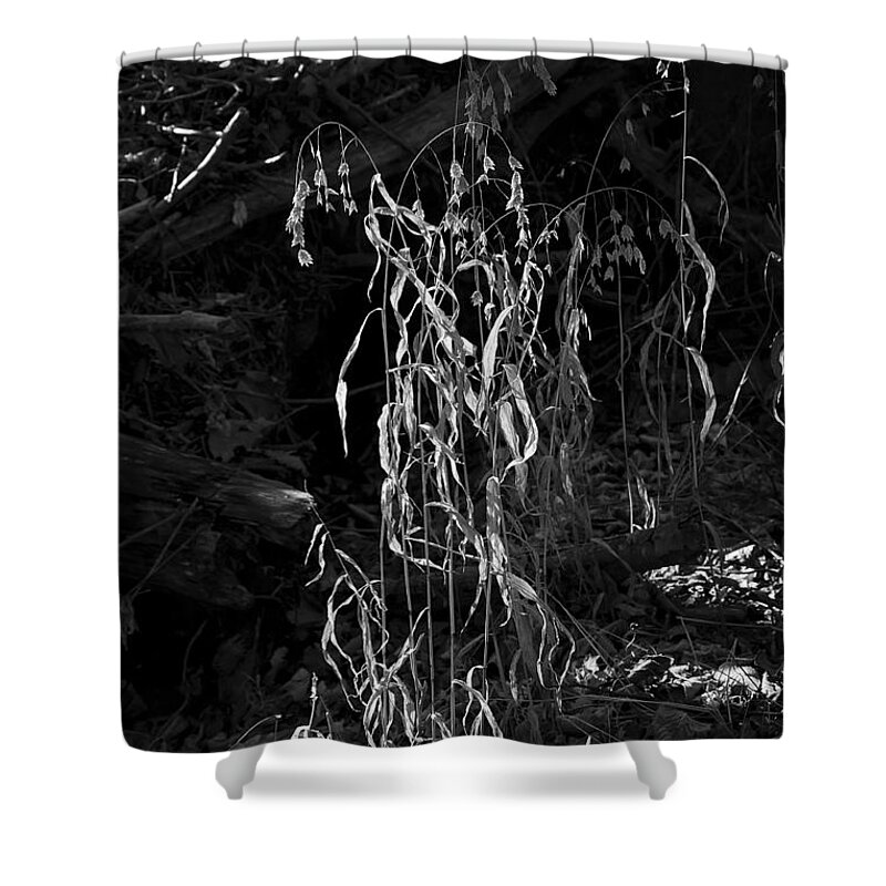 Black And White Shower Curtain featuring the photograph Saw Oats in River Flood Area by Michael Dougherty