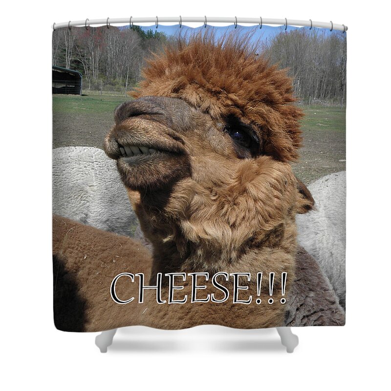 Alpaca Shower Curtain featuring the photograph Say cheese by Kim Galluzzo
