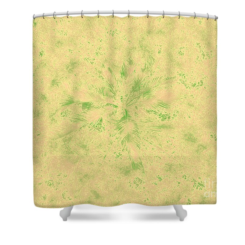 Bright Shower Curtain featuring the photograph Second Chance at Life by Connie Fox