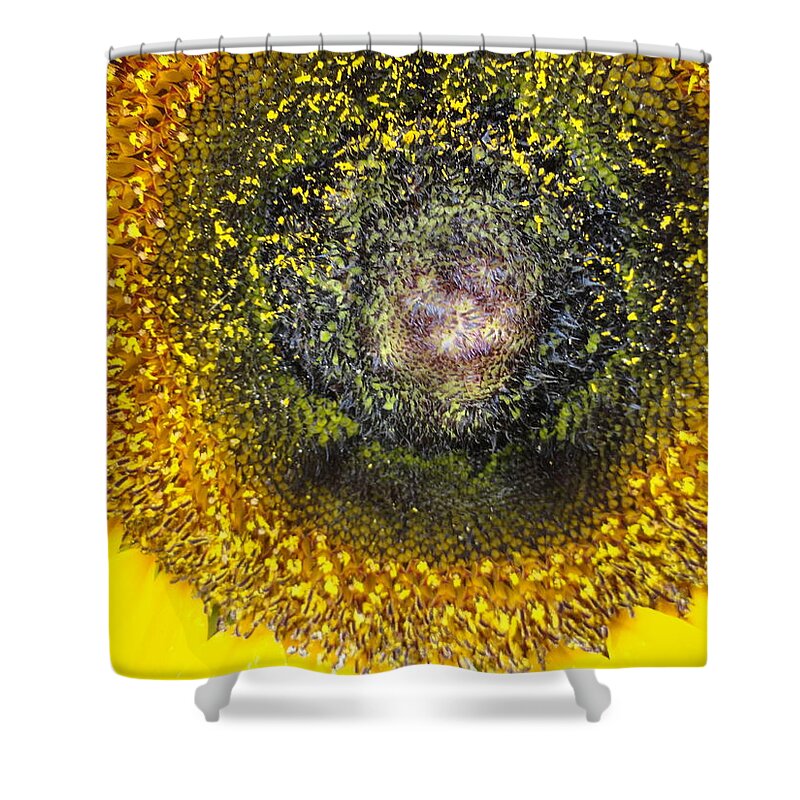 Sunflower Shower Curtain featuring the photograph Seeds by Shannon Grissom