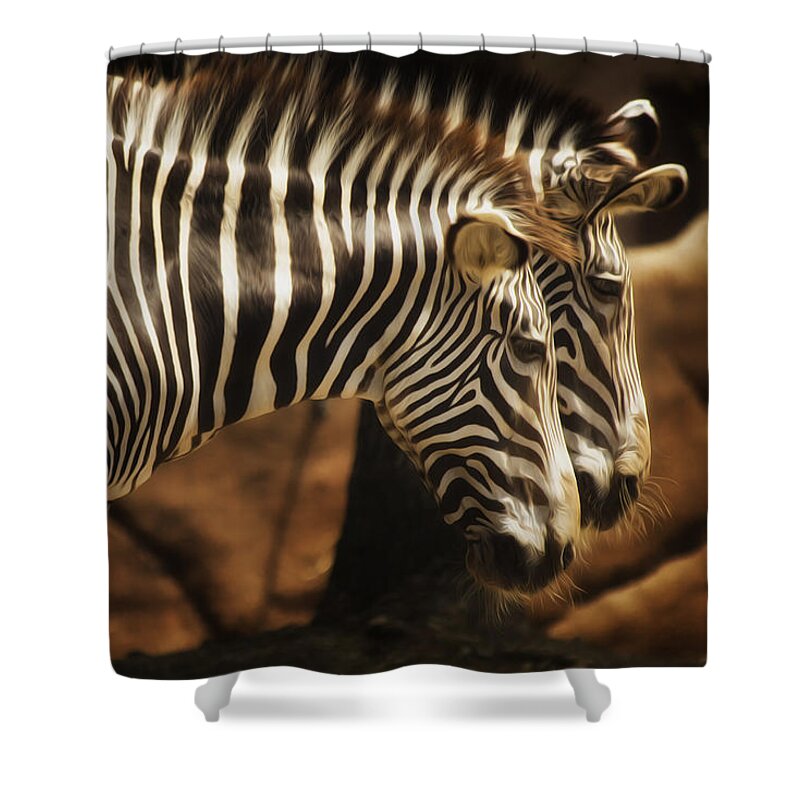 Saint Louis Shower Curtain featuring the photograph Seeing Double by Linda Tiepelman