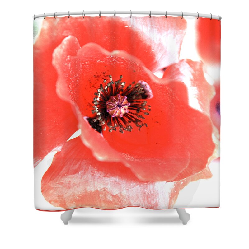 Abstract Shower Curtain featuring the photograph Seeping Honor by J C