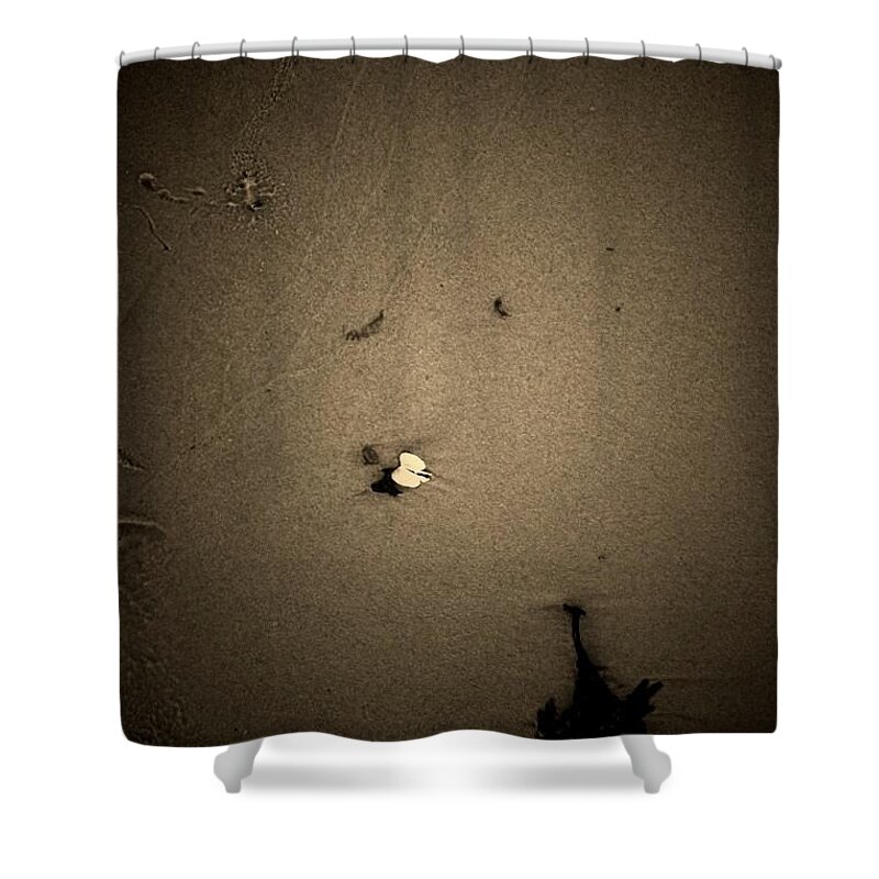 Seashell Shower Curtain featuring the photograph Shell by Valerie Nolan
