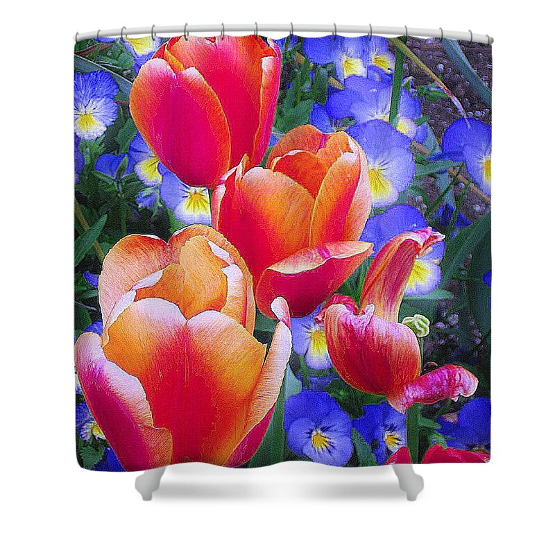 Tulips Shower Curtain featuring the photograph Shining Bright by Rory Siegel