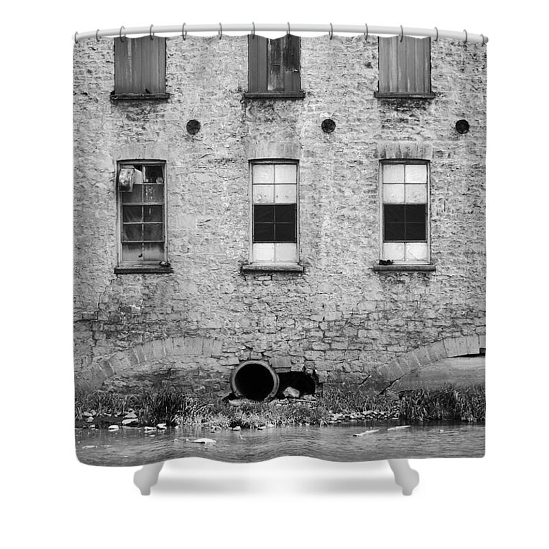 Window Shower Curtain featuring the photograph Six by Traci Cottingham