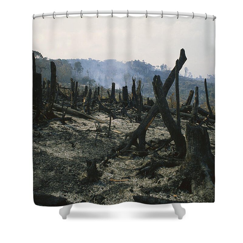 Mp Shower Curtain featuring the photograph Slash And Burn Agriculture, Where by Konrad Wothe