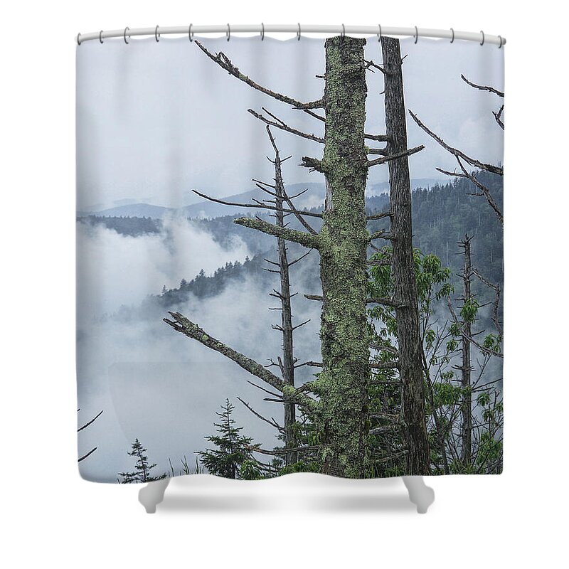 Art Shower Curtain featuring the photograph Smokey Mountain Forest No.612 by Randall Nyhof