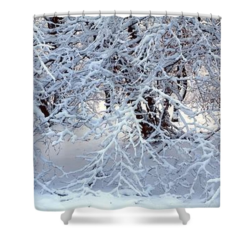 Nature Shower Curtain featuring the photograph Snow covered branches by Ulrich Kunst And Bettina Scheidulin