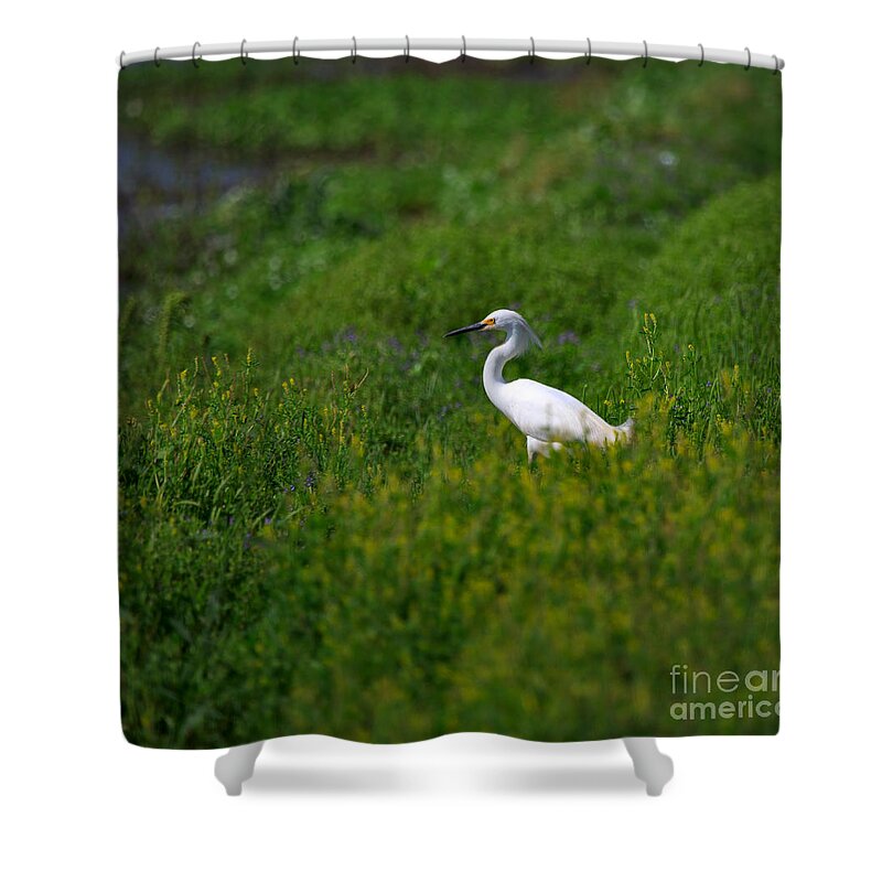 Egret Shower Curtain featuring the photograph Snowy Egret in Spring by Louise Heusinkveld