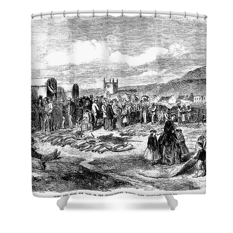 1866 Shower Curtain featuring the photograph South Africa: Ivory Trade by Granger