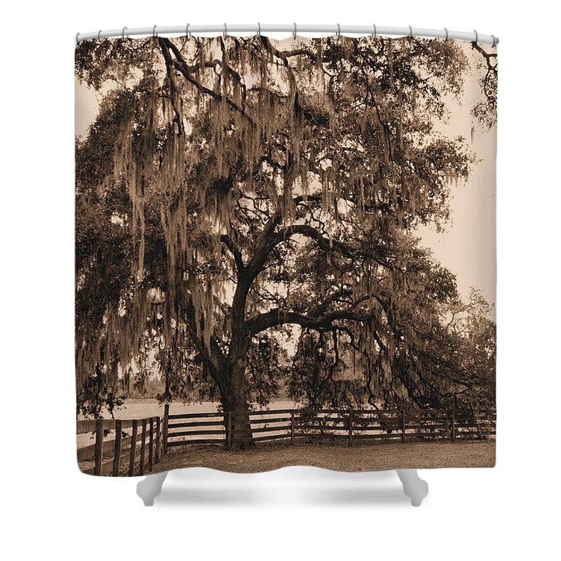 Southern Shower Curtain featuring the photograph Southern Charm by Kristin Elmquist