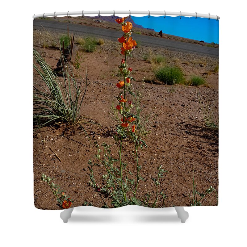 Flower Shower Curtain featuring the photograph Southwest Wildflower by Julie Niemela