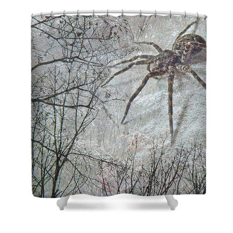 Spider Shower Curtain featuring the photograph Spider Descending by Carol Senske