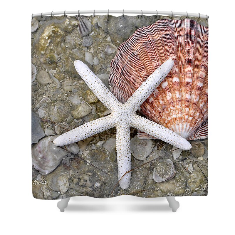 Sea Shower Curtain featuring the photograph Spirit of the Seashore by Maria Nesbit