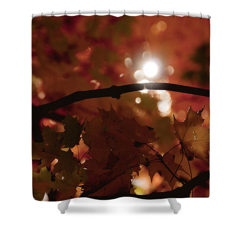 Landscape Shower Curtain featuring the photograph Spotlight on Fall by Cheryl Baxter