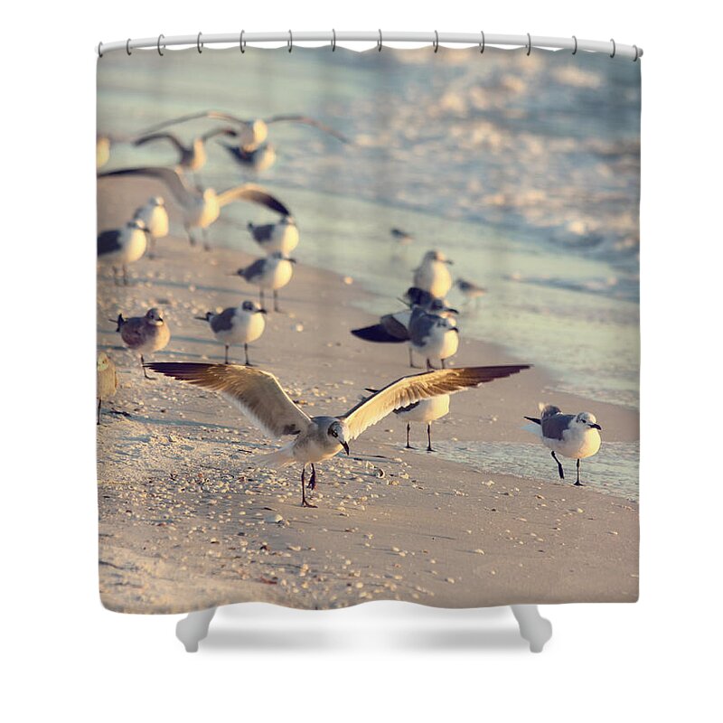 Nature Shower Curtain featuring the photograph Spread Your Wings 2 by Kim Hojnacki