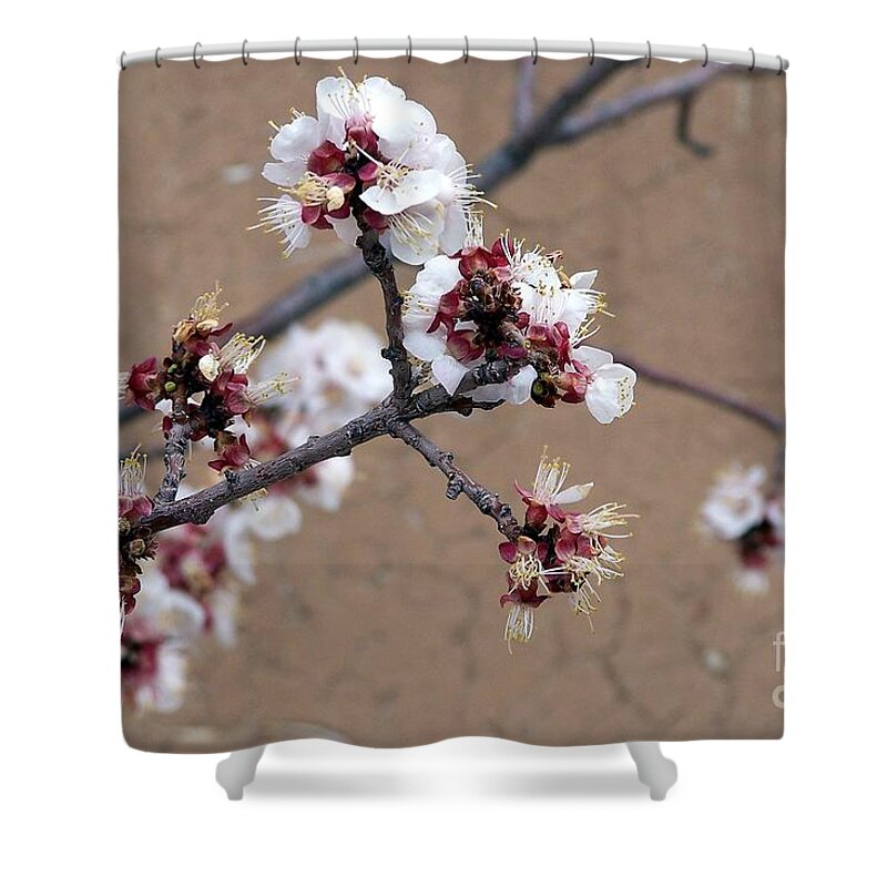 Trees Shower Curtain featuring the photograph Spring Promises by Dorrene BrownButterfield